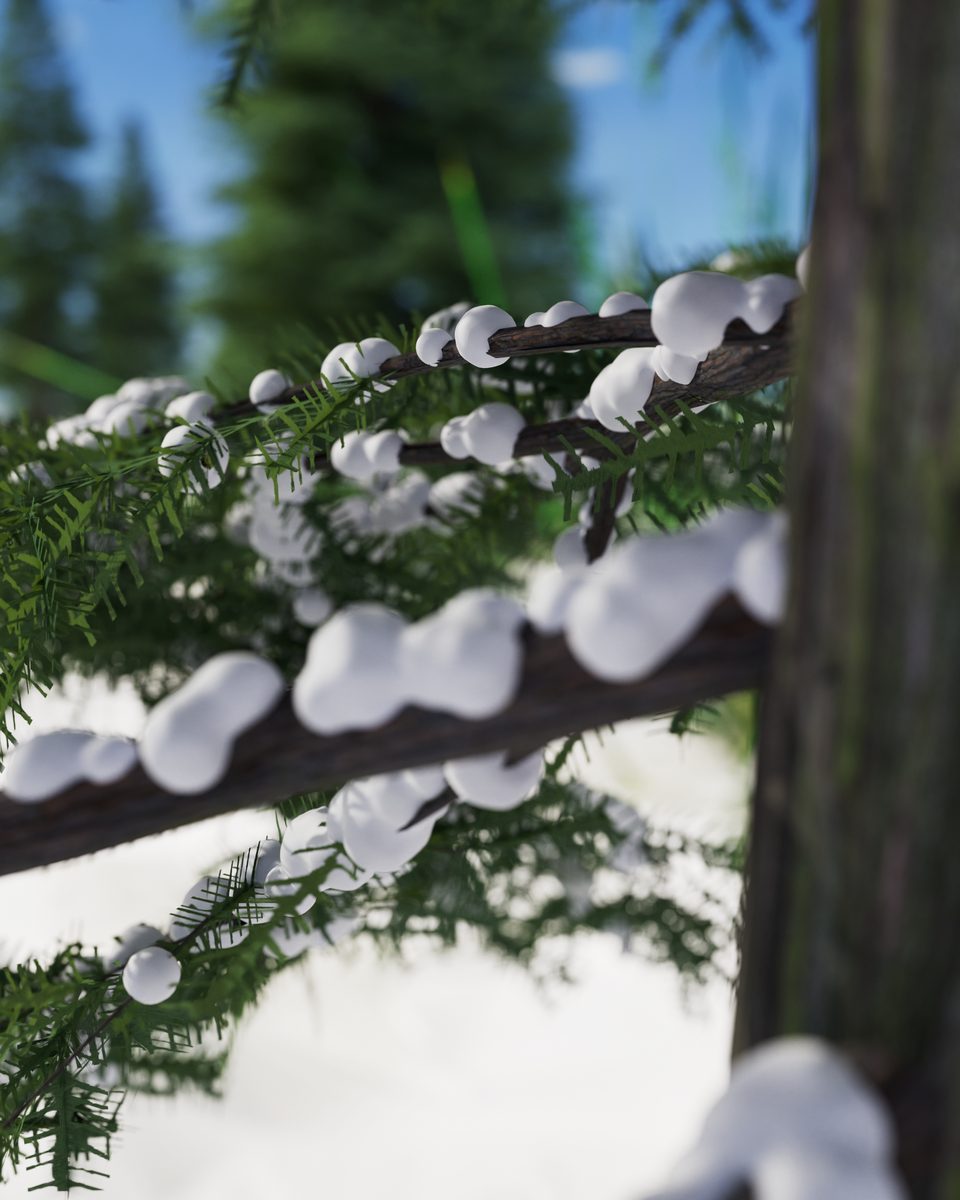 Branche de sapin couverte de neige, gros plan